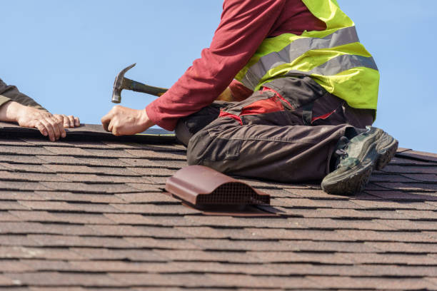 Best Roof Restoration Services  in Dryden, MI