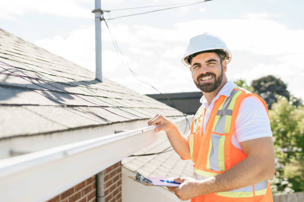 Best Roof Maintenance Services  in Dryden, MI