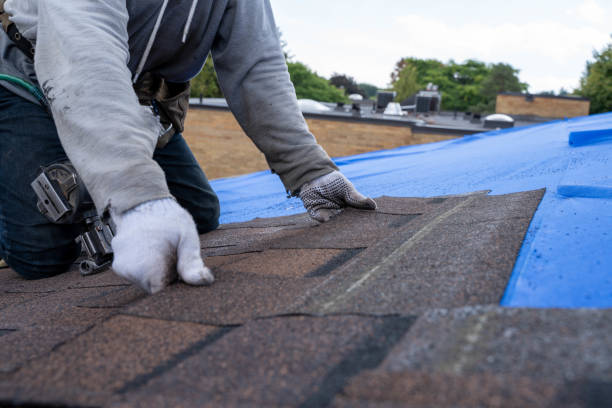 Best Roof Replacement Cost  in Dryden, MI