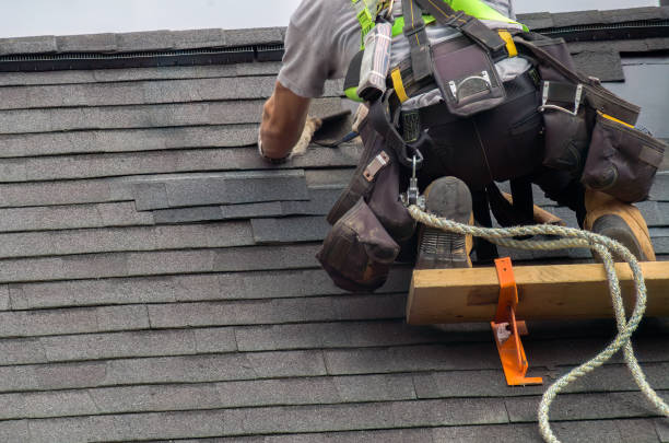 Best Commercial Roofing Services  in Dryden, MI