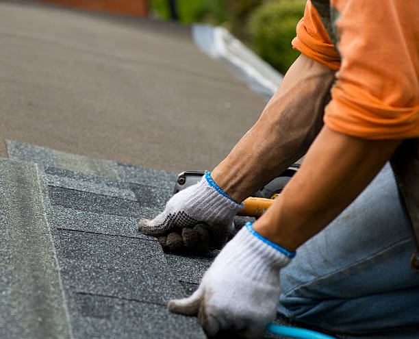 Roof Gutter Cleaning in Dryden, MI