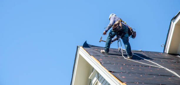 Best Local Roofing Companies  in Dryden, MI